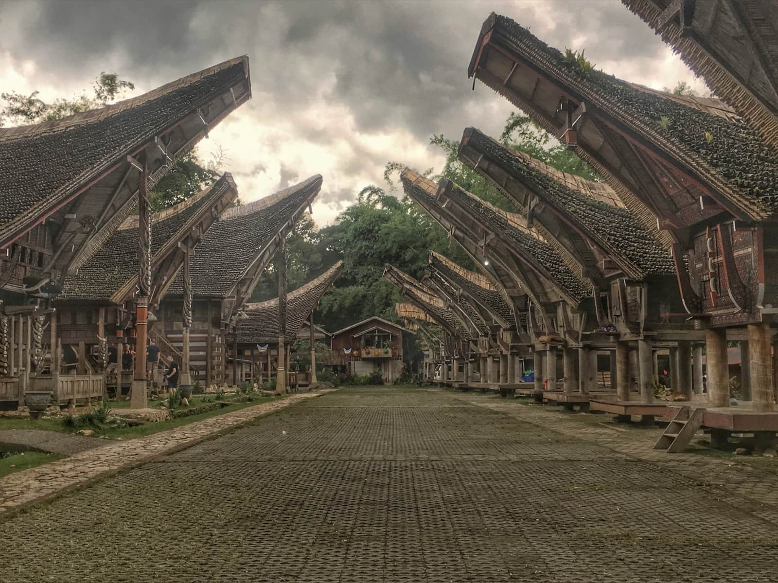 Rumah adat Tongkonan di Tana Toraja, salah satu tujuan wisata favorit Sulawesi Selatan